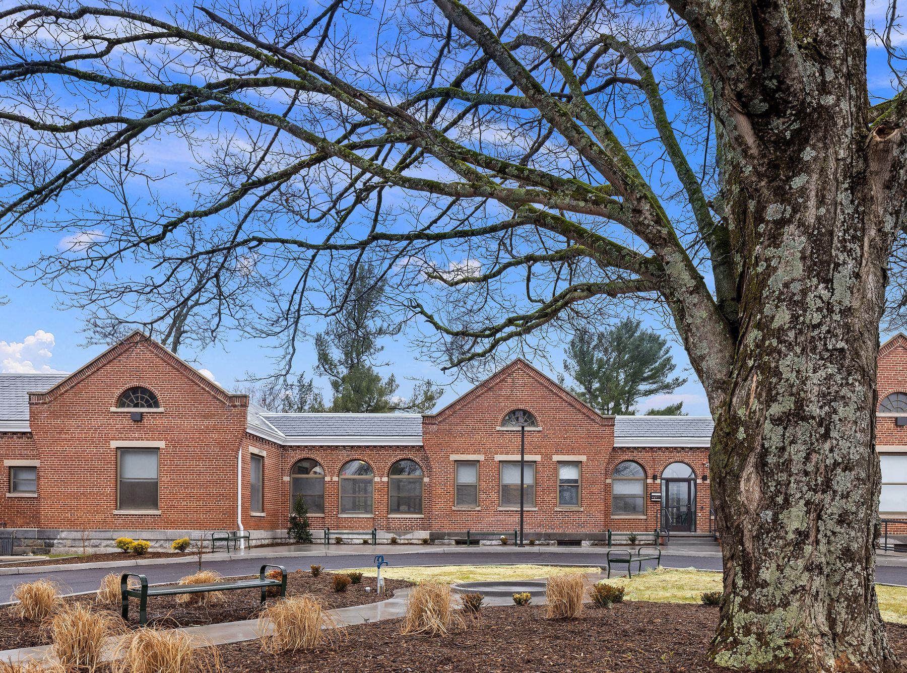 Restored brick campus building framed by a mature oak